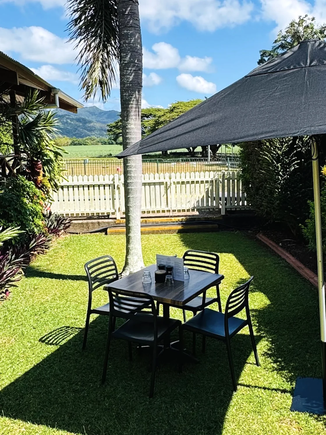 A table in the tropical garden, with palm trees, blue sky and the hills beyond Freshwater Station